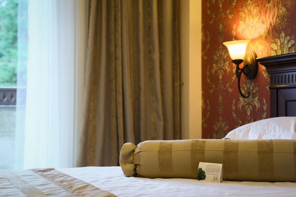 Hotel Foisorul Cu Flori Sinaia Phòng bức ảnh